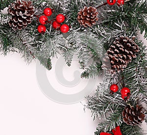 Christmas background. Branch of christmas tree with pine cones