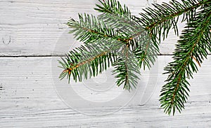 Christmas background with branch fir decoration on white wood.