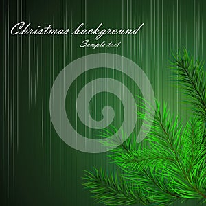 Christmas background with branches of a Christmas tree