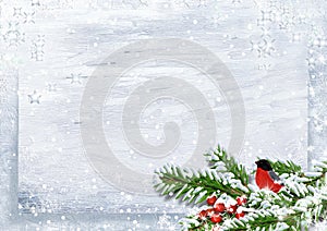 Christmas background with bullfinch on snow branch