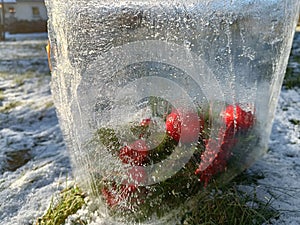 Christmas background, decaration in ice