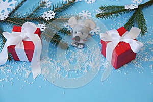Christmas background with fir branches and a rat and snowflakes and a red gift box with a white ribbon on a blue background.