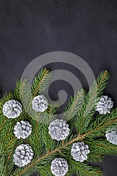 Christmas background with fir and silver cones
