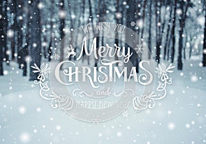 Christmas background with fir trees and blurred background of winter with text Merry Christmas and Happy New Year.