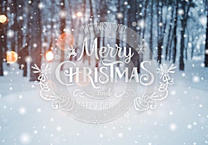 Christmas background with fir trees and blurred background of winter with text Merry Christmas and Happy New Year.