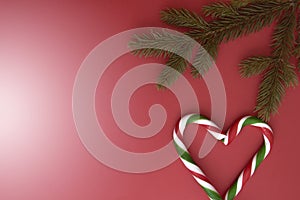 Christmas background with fir twings and candy canes on red. Top view, flat lay. Copy space for text
