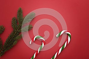 Christmas background with fir twings and candy canes on red. Top view, flat lay. Copy space for text