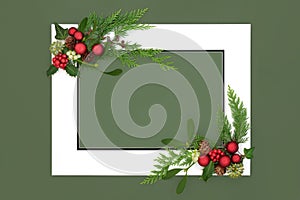 Christmas Background Frame with Winter Holly and Fauna