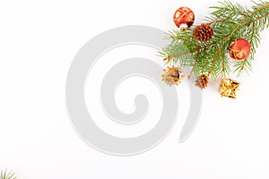 Christmas background, fresh fir tree branches with red baubles and golden gifts isolated on white, new year web banner