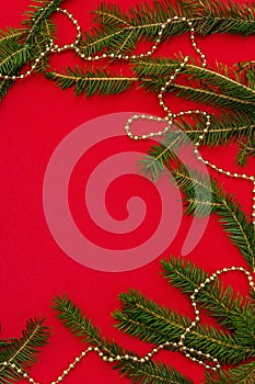 Christmas background with fresh Xmas tree branches and New Year gold beads on red background