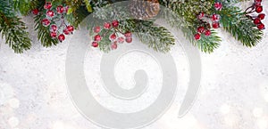 Christmas background with frosted fir tree, copy space and decor