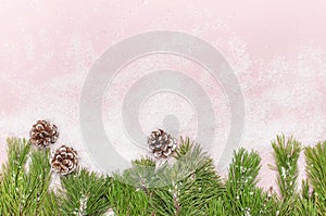 Christmas background, green pine branches, cones decorated with snow on snowy pink background. Creative composition with border