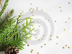 Christmas background. green spruce twigs