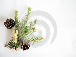 Christmas background. green spruce twigs