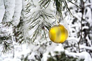 Christmas background.