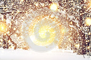 Christmas background. Magic glowing lights in snowy forest. Xmas time. Winter fairytale