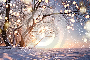 Christmas background. Magic glowing snowflakes in winter nature landscape. Beautiful winter scene with bokeh. Winter fairytale. photo