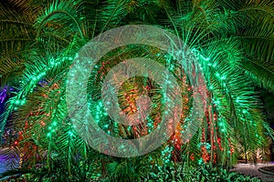 Christmas Background, Palm Trees Illuminated At Night