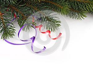 Christmas background, pine branch and ribbon
