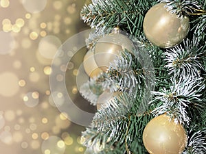 Christmas background with pine branches and golden balls