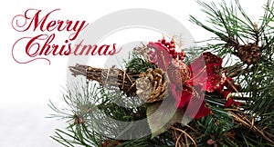 Christmas background with pine tree branch, pine cones, red flower in snow