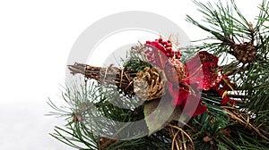 Christmas background with pine tree branch, pine cones, red flower in snow