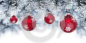 Christmas background with red baubles hanging on pine tree