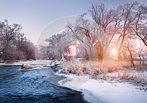 Christmas background with snowy forest. Winter landscape