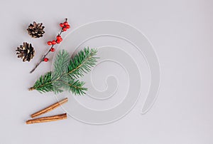 Christmas background with spruce branches, red berries, cones and cinnamon sticks. Holiday eco-friendly concept