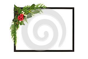 Christmas Background Traditional Winter Flora Frame