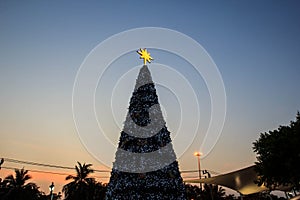 Christmas background tree