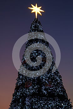 Christmas background tree