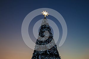 Christmas background tree