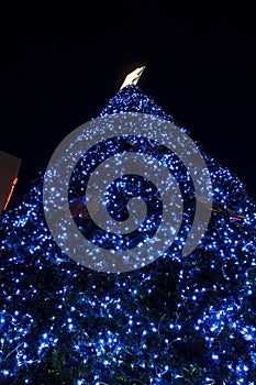 Christmas background tree