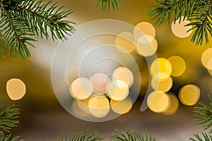 Christmas Background with Twig