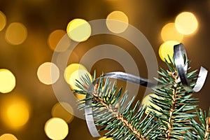 Christmas background with twig