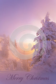 Christmas background with winter landscape in the mountains during sunrise/ Beautiful sunrise light