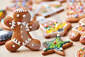 Christmas baked traditional gingerbread cookies. Set of biscuites