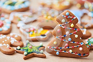 Christmas baked traditional gingerbread cookies. Set of biscuites