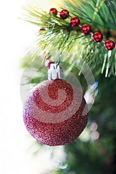 Christmas ball on a branch tree