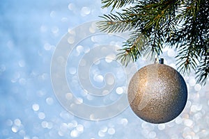 Christmas Ball on a Christmas Tree Branch