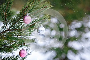 Christmas ball on a Christmas tree branch over blurred shiny background. Space for text.