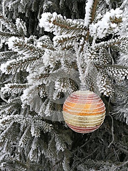 Christmas ball on a fir branch under a snow cap in the forest, hoarfrost on pine branches, frost and winter landscape for the
