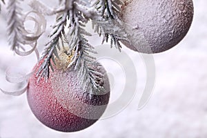 Christmas ball on fir tree. New Year decoration on snow-covered