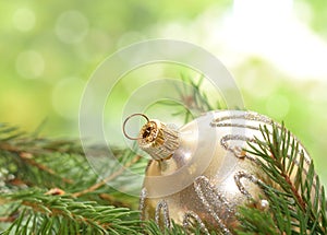 Christmas ball glittered in green fir needle branches