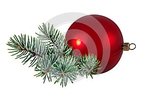 Christmas ball hanging on ribbon and christmas tree isolated