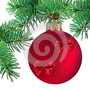 Christmas ball hanging on ribbon and christmas tree isolated