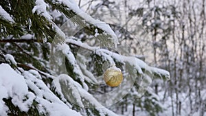 Christmas ball is hanging on a winter Christmas tree