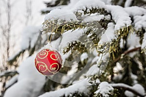 Christmas ball is hanging on a winter tree covered with snow in the forest