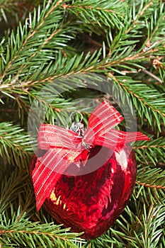 Christmas ball (heart) on fir branch background